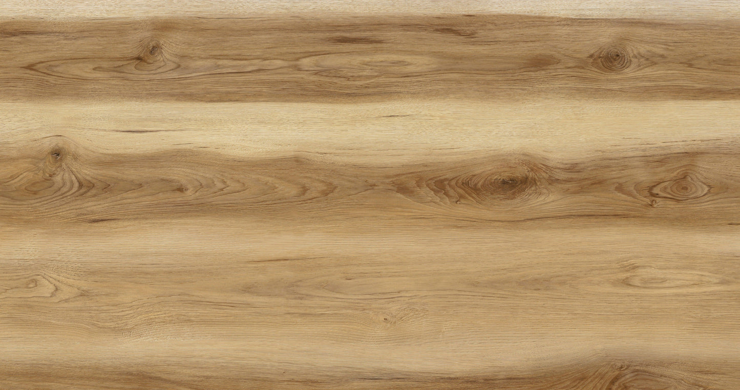 SPC 24008 - 6.5MM/22MIL