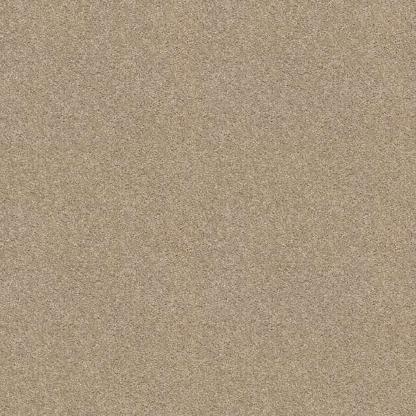 WELL PLAYED I 12' - E0562