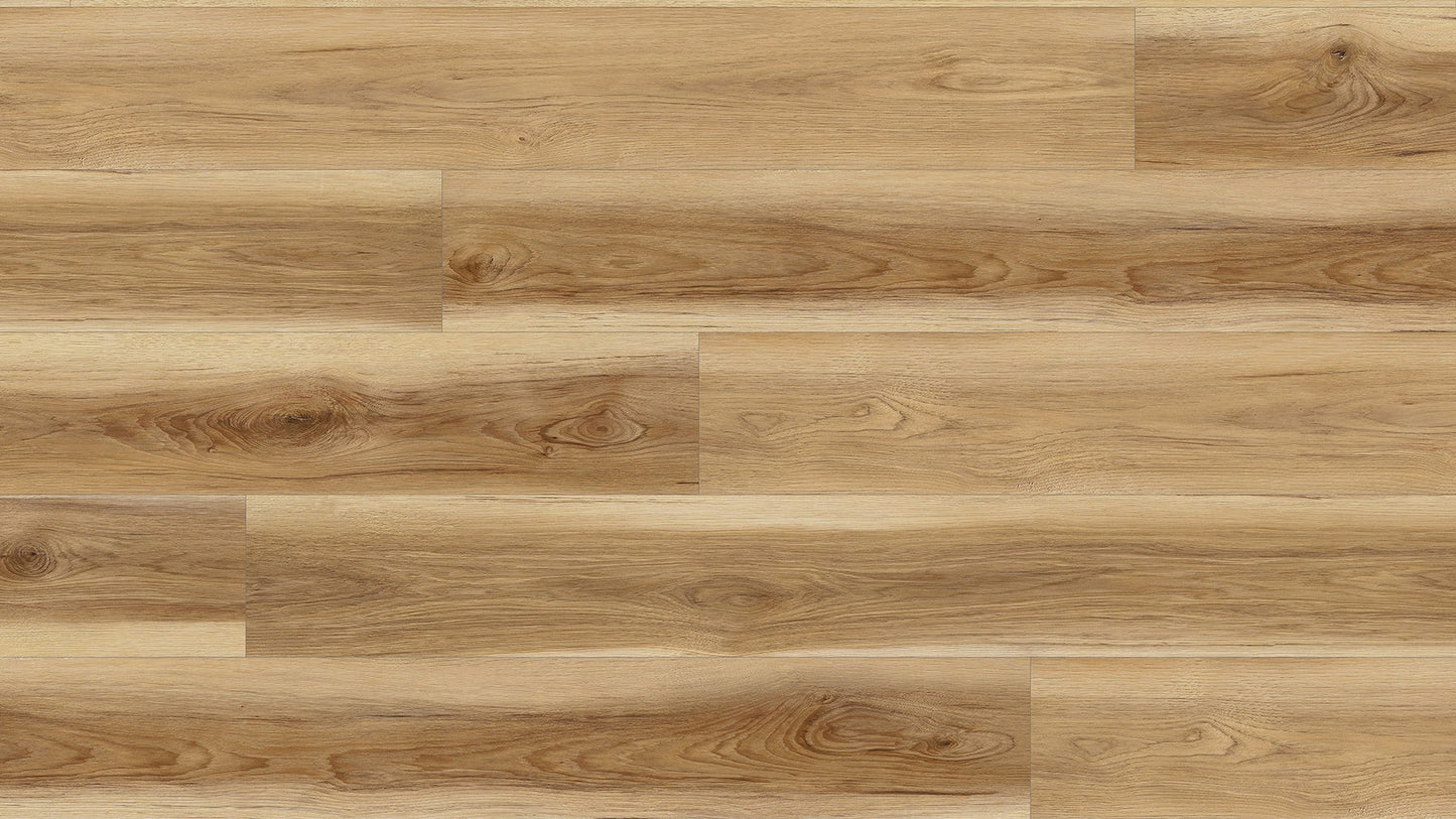 SPC 24008 - 6.5MM/22MIL