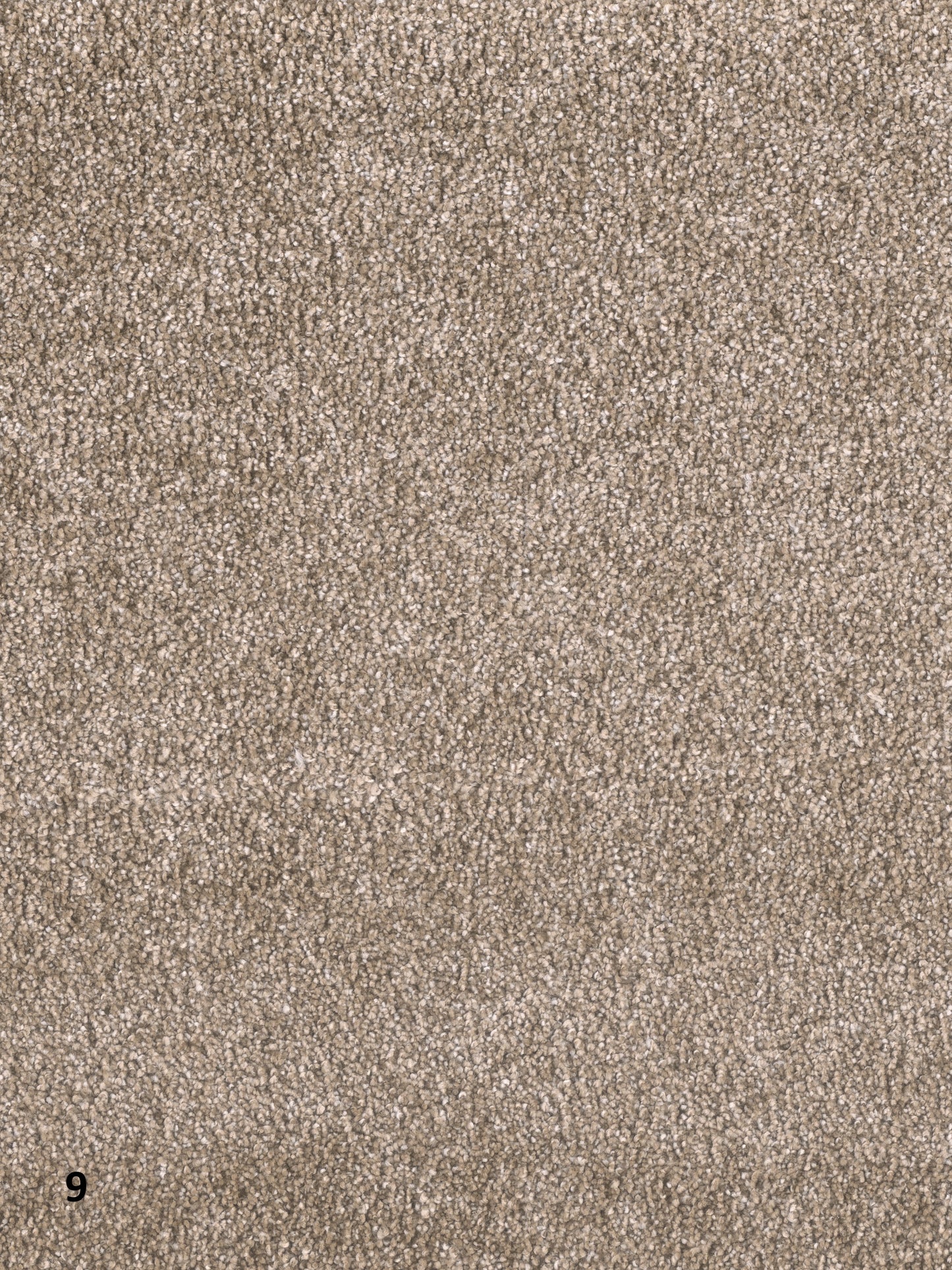 EASY LIVING III - 7065