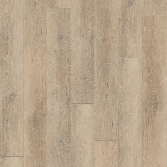 NEW STANDARD PLUS R014