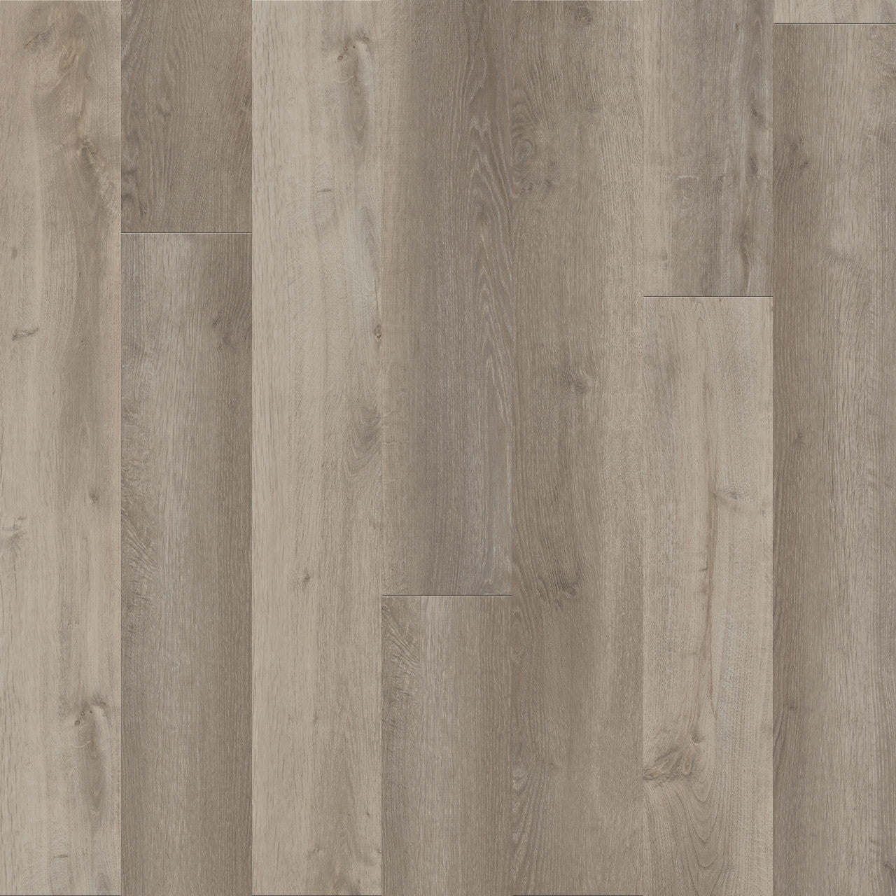 NEW STANDARD PLUS R014
