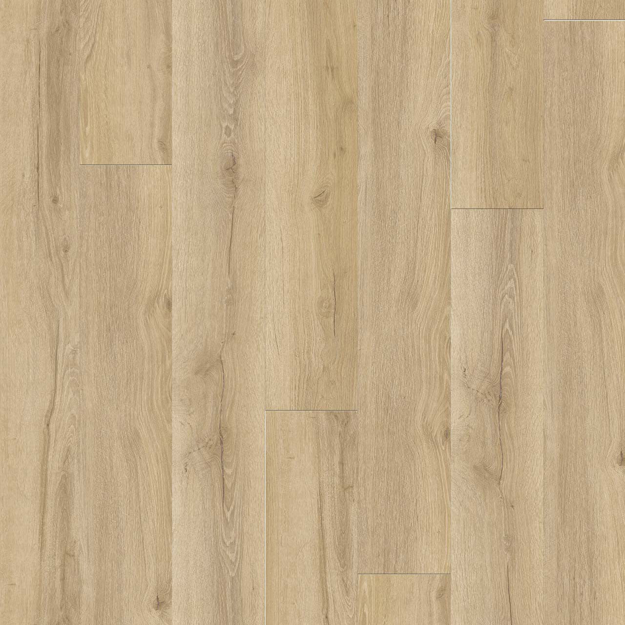NEW STANDARD PLUS R014