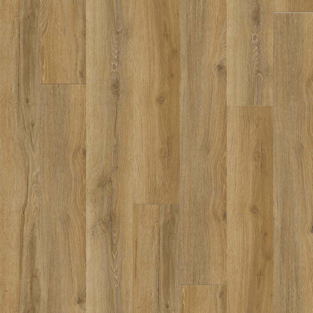 NEW STANDARD PLUS R014
